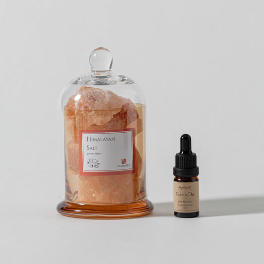 Himalayan Salt Gemstone Diffuser - ShopPurpleUmbrella