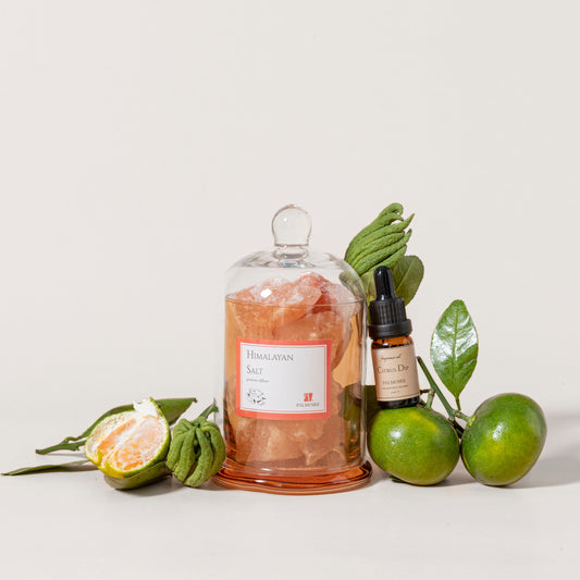 Bottle of Himalayan Salt with a dropper bottle and limes on a light background