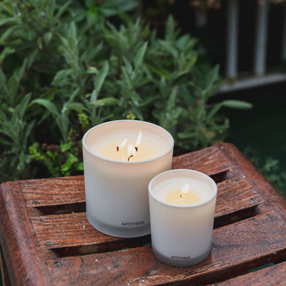Two white candles on a wooden surface with greenery in the background