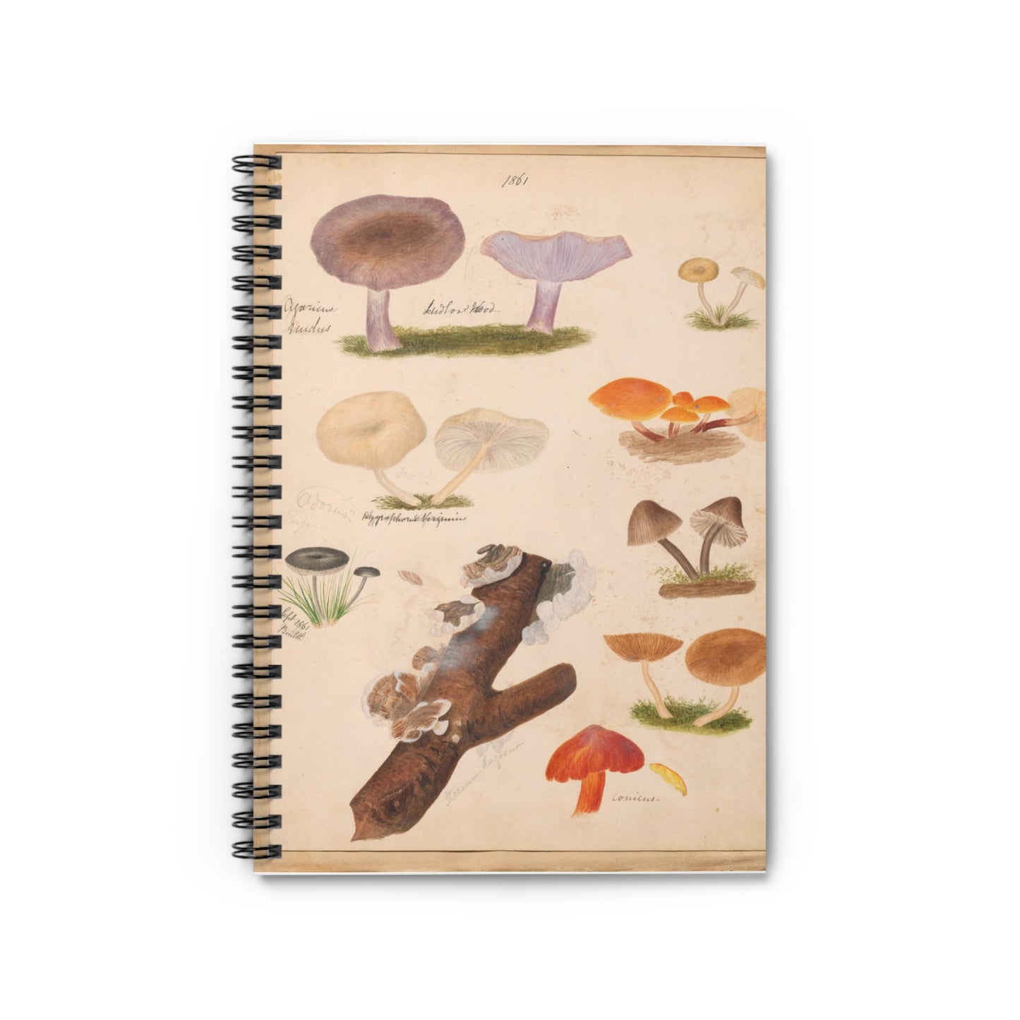 Notebook with vintage-style mushroom illustrations on a beige background