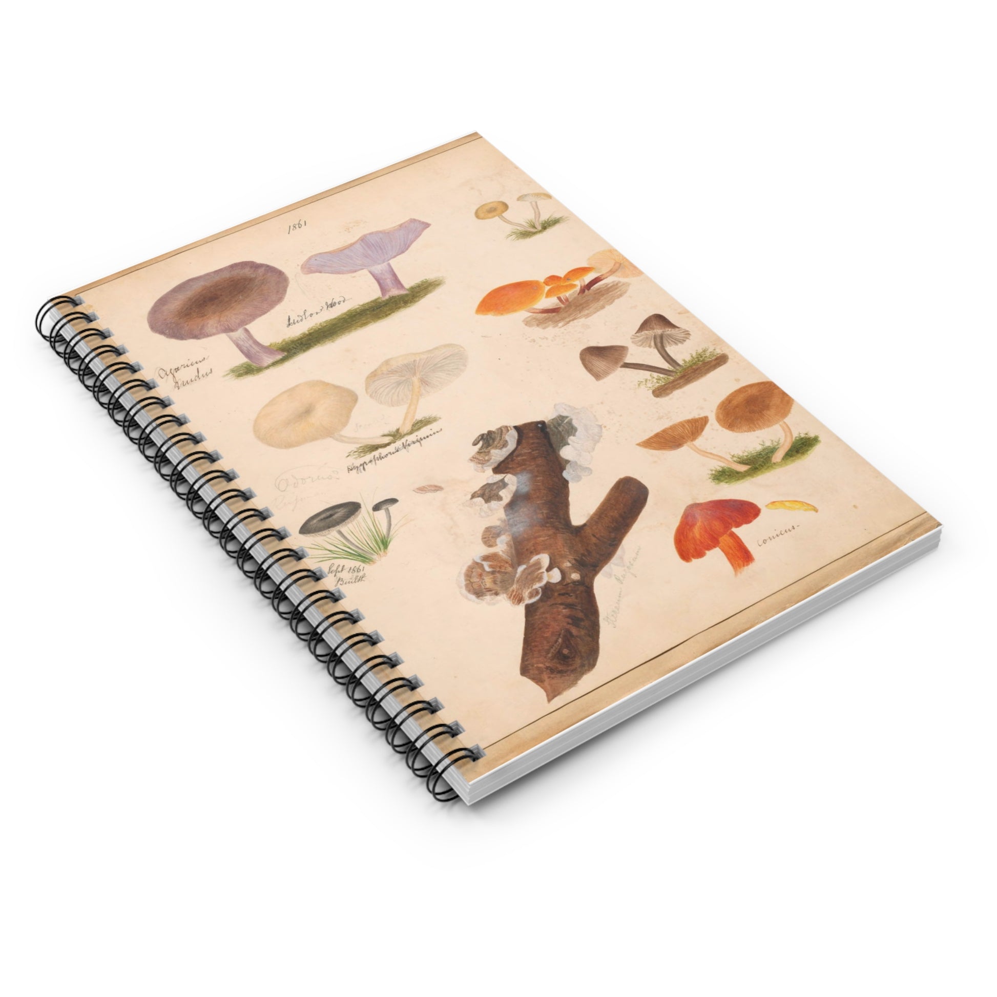 Notebook with mushroom illustrations on a white background