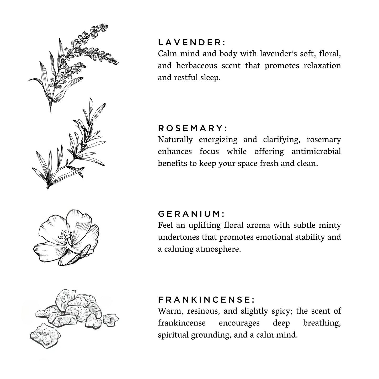 Illustrations of lavender, rosemary, geranium, and frankincense with descriptive text on a white background.