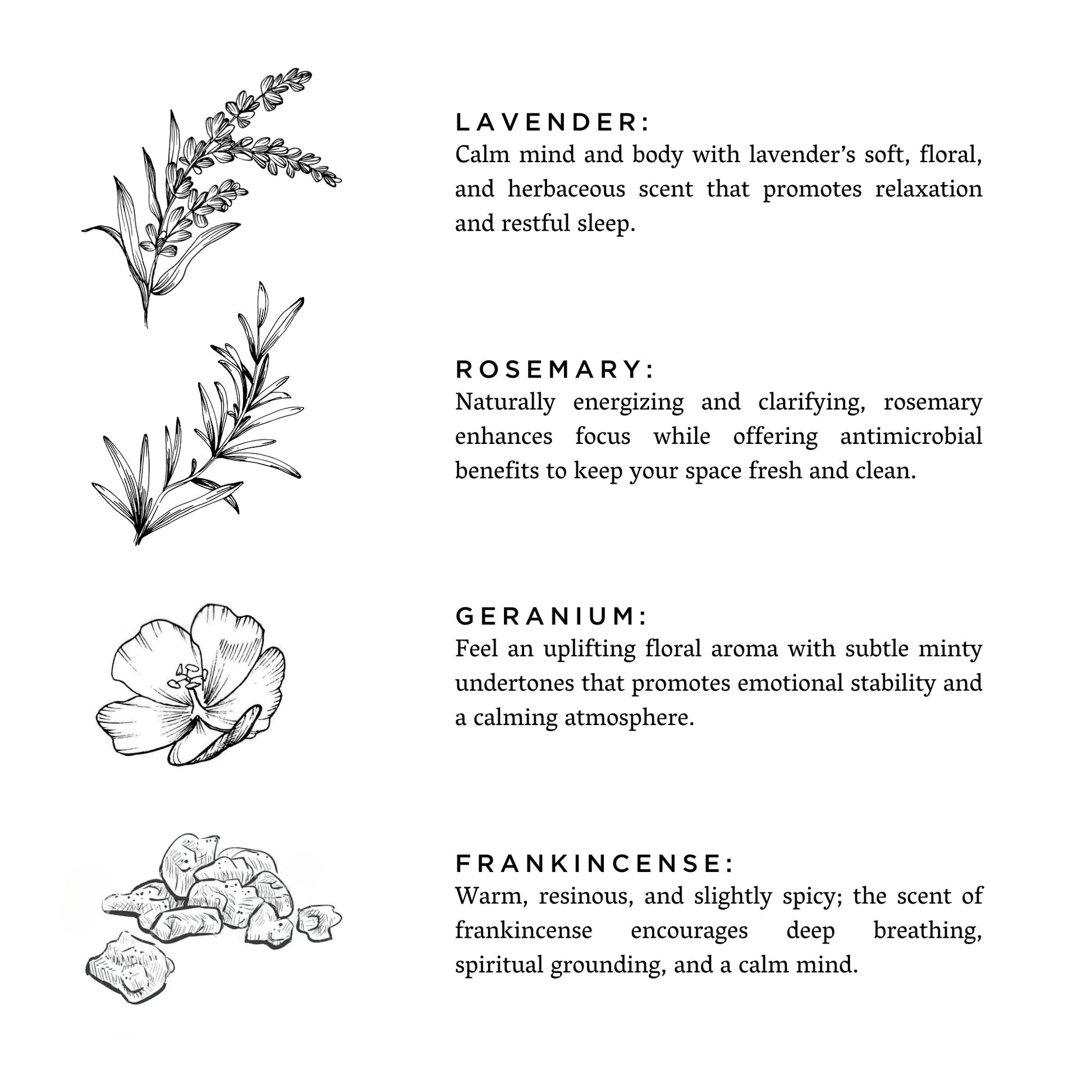 Illustrations of lavender, rosemary, geranium, and frankincense with descriptive text on a white background.