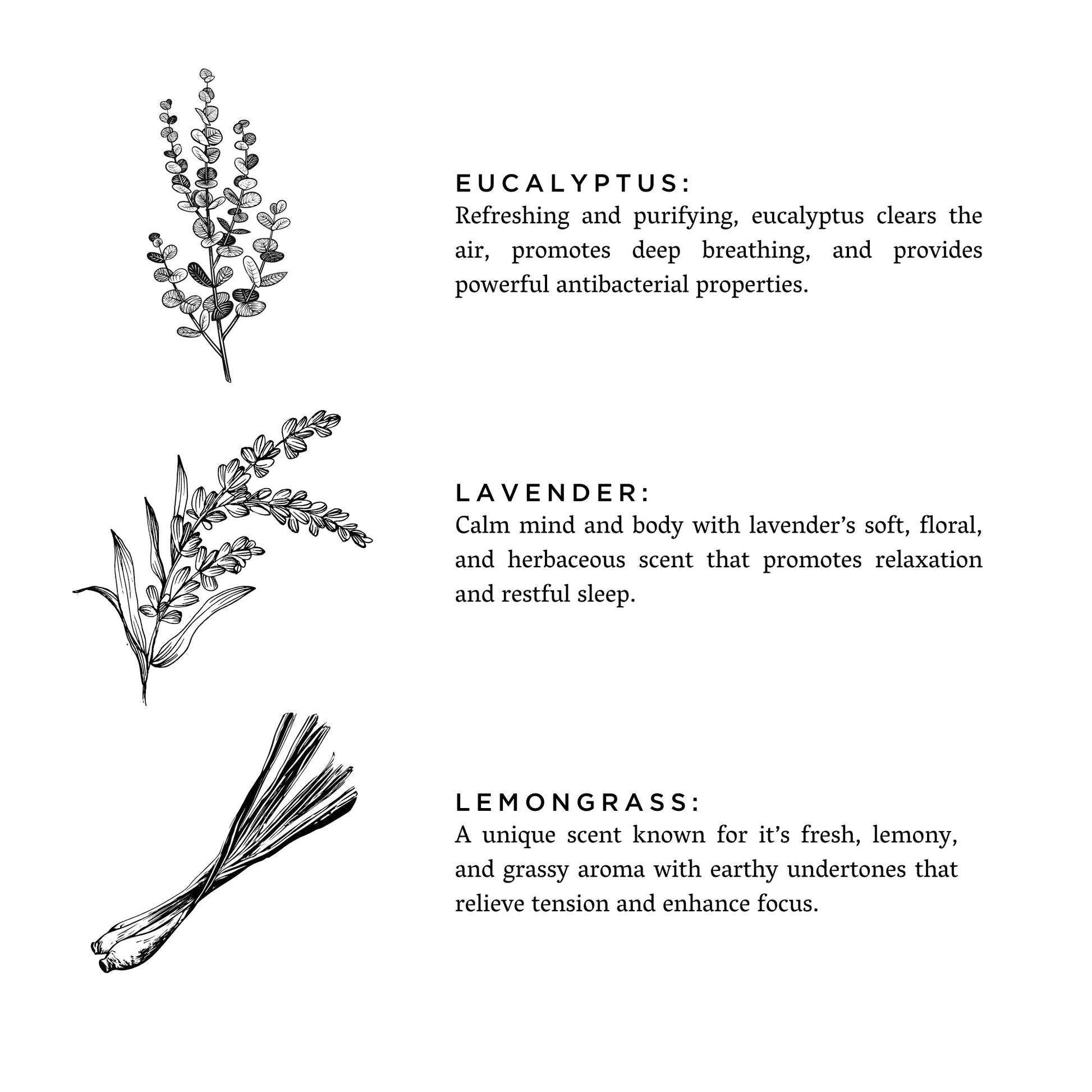 Shangri - La Signature Candle • Eucalyptus • Lavender • Lemongrass - ShopPurpleUmbrella